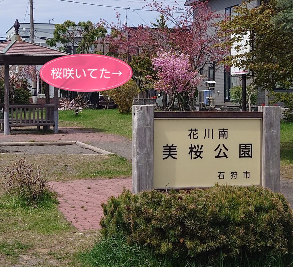 サクラ・後編